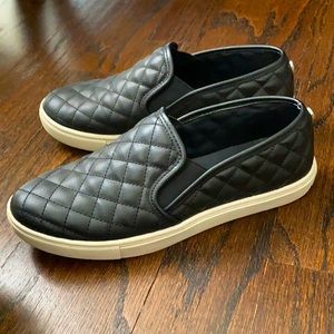 Steve Madden Ecentriq Sneaker